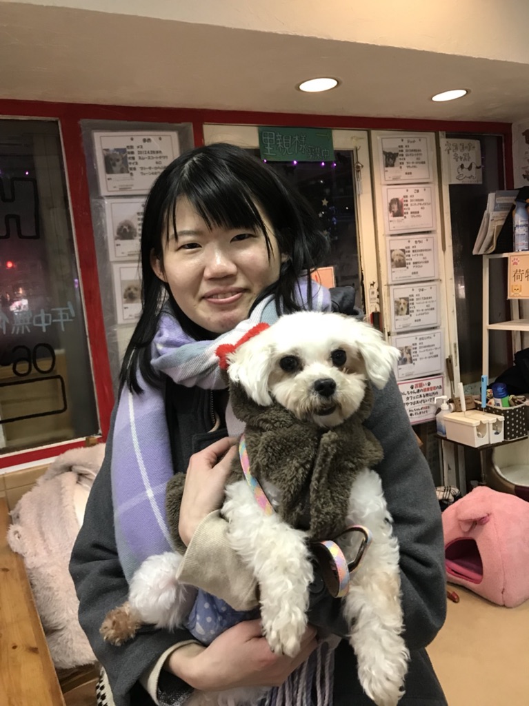 【運命の赤い糸見～つけた💓ヨークシャーテリアのマリーちゃん💕】